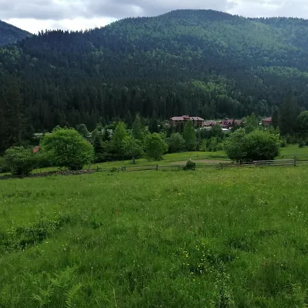 гостинний двір у ангеліни * Tatariv