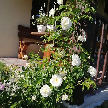 гостинний двір у ангеліни Tatariv