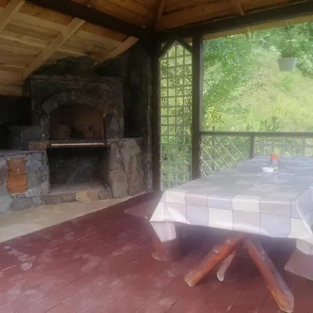 гостинний двір у ангеліни Holiday home Tatariv