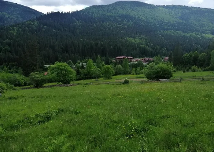 гостинний двір у ангеліни * 塔塔里夫